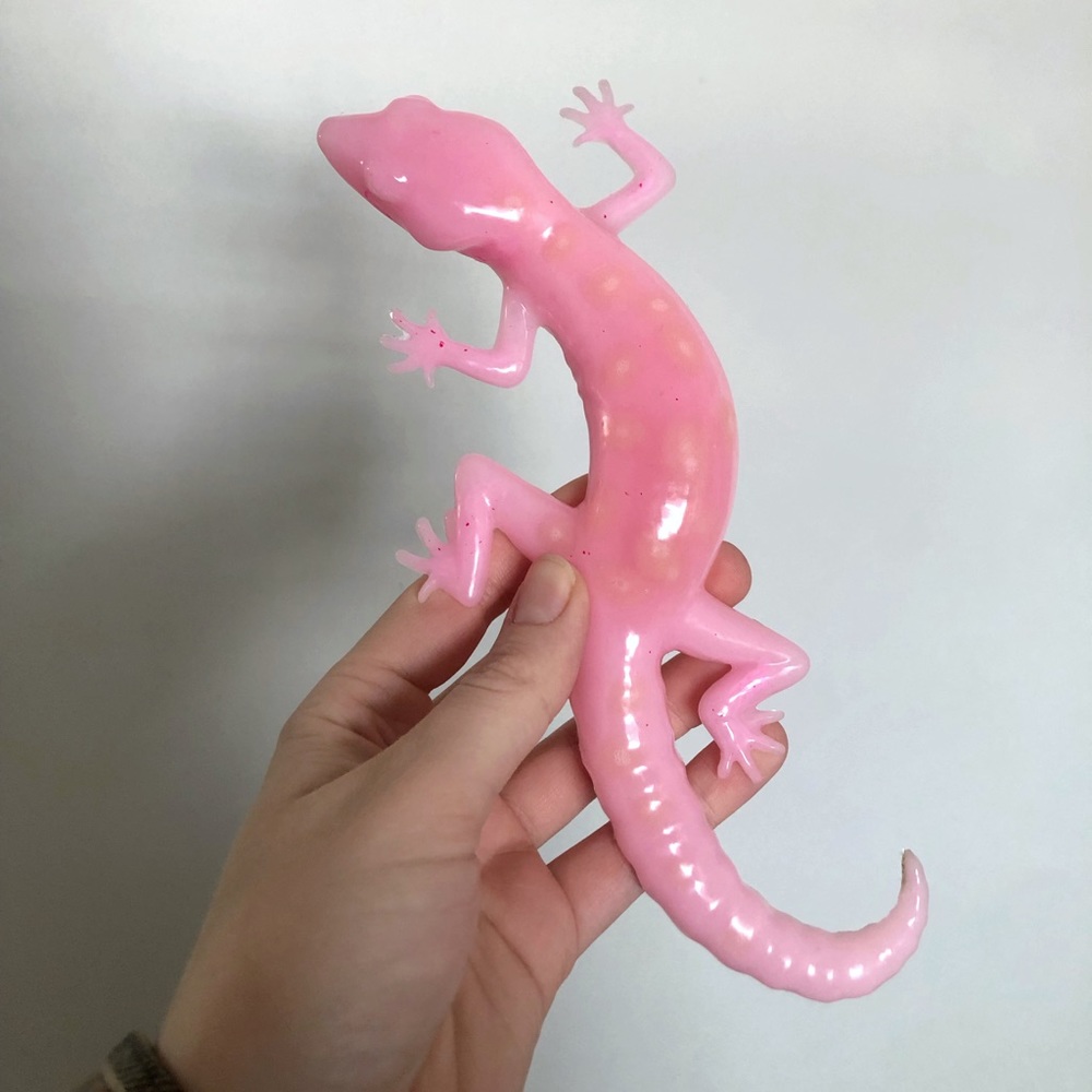 Color Changing Lizard - Picture 3 of 3